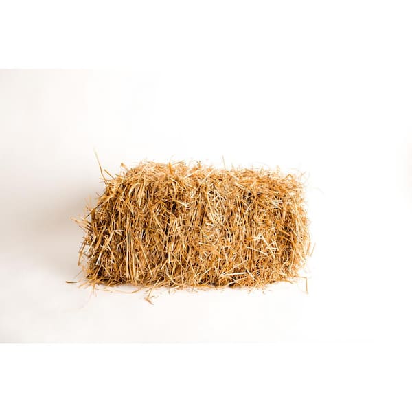 Unbranded Baled Wheat Straw