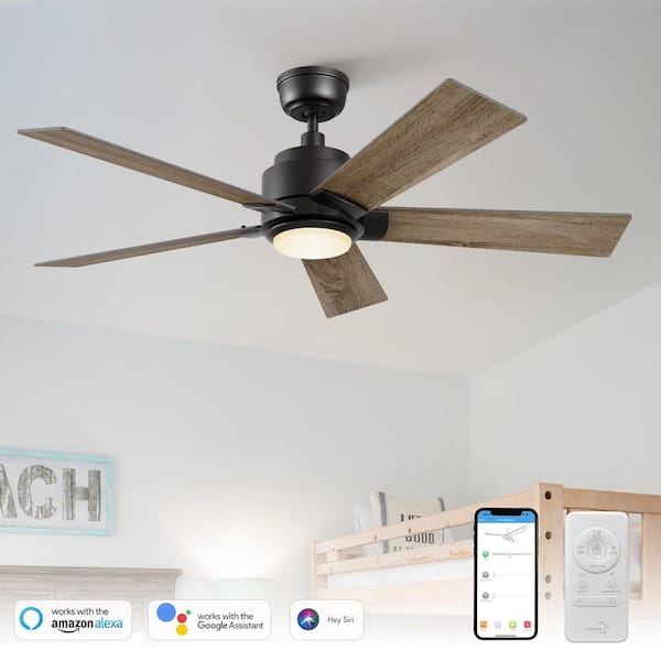 Aspen 48 in. Dimmable LED Indoor/Outdoor Black Smart Ceiling Fan with Light and Remote, Works with Alexa/Google Home