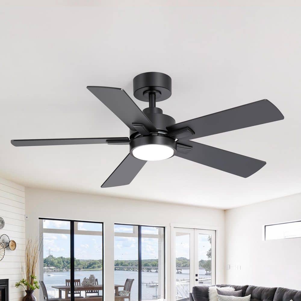 Breezary Valerie 42 in. Covered Outdoor Black Standard Ceiling Fan