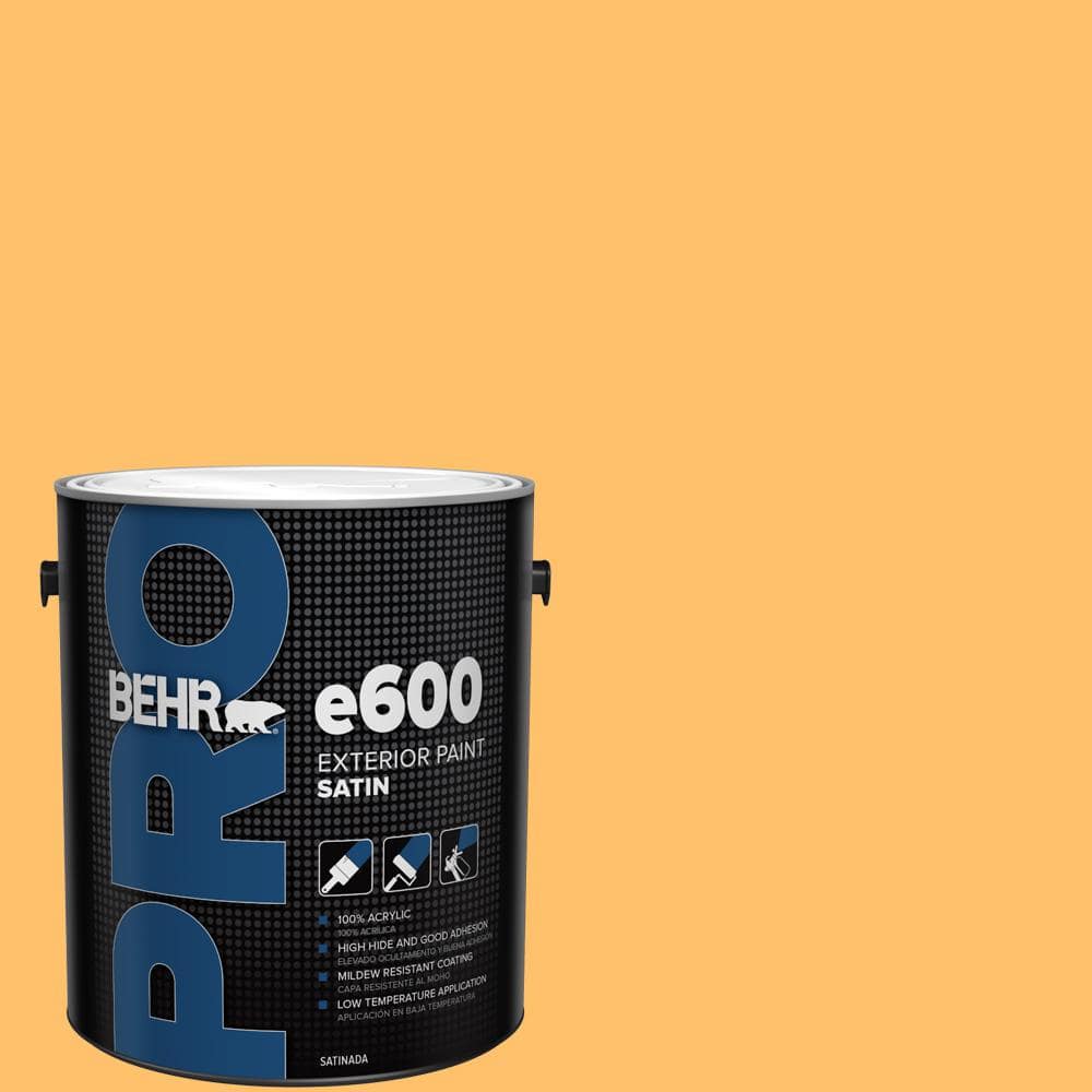 1 gal. #P250-5 Solar Storm Satin Exterior Paint price history on PriceWatchPro
