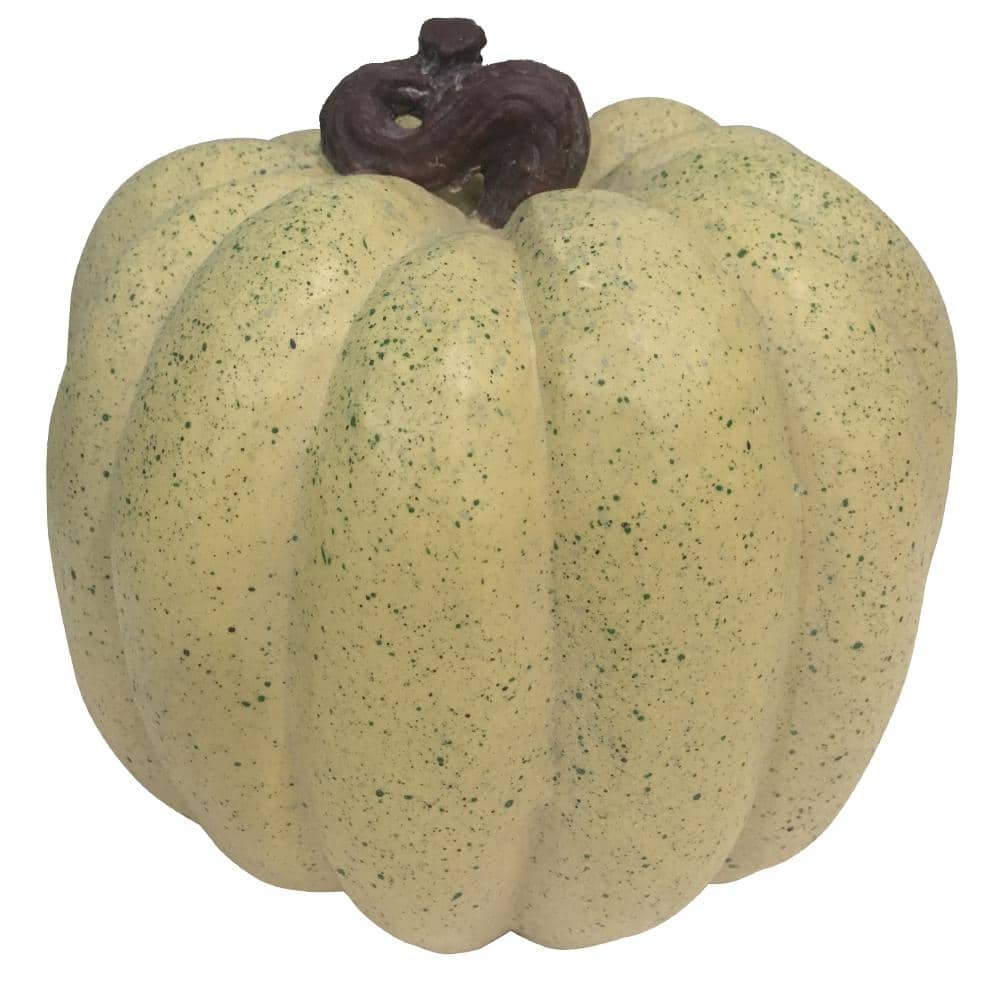 Home Accents Holiday 8.5 in. Harvest Pumpkin in Cream PT1035-B - The ...
