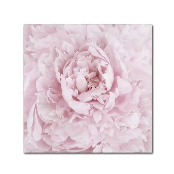 Trademark Fine Art 35 in. x 35 in. "Pink Peony Flower" by Cora Niele Printed Canvas Wall Art