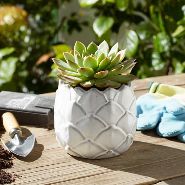 Sagebrook Home 5 in. Ceramic Artichoke Planter White