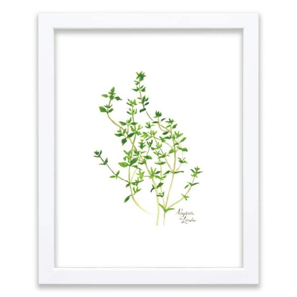 Unbranded Nature's Lace 2 "Thyme" by Alyssa Lewis Individual White Framed Nature Art Print 24 in. x 18 in.