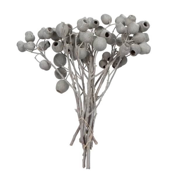 Vickerman 11 in. x 4 in. Ivory Preserved Belgium Branch, 10 Stems Per Unit