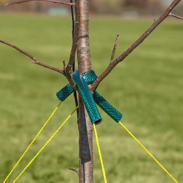 Tree straps hotsell home depot