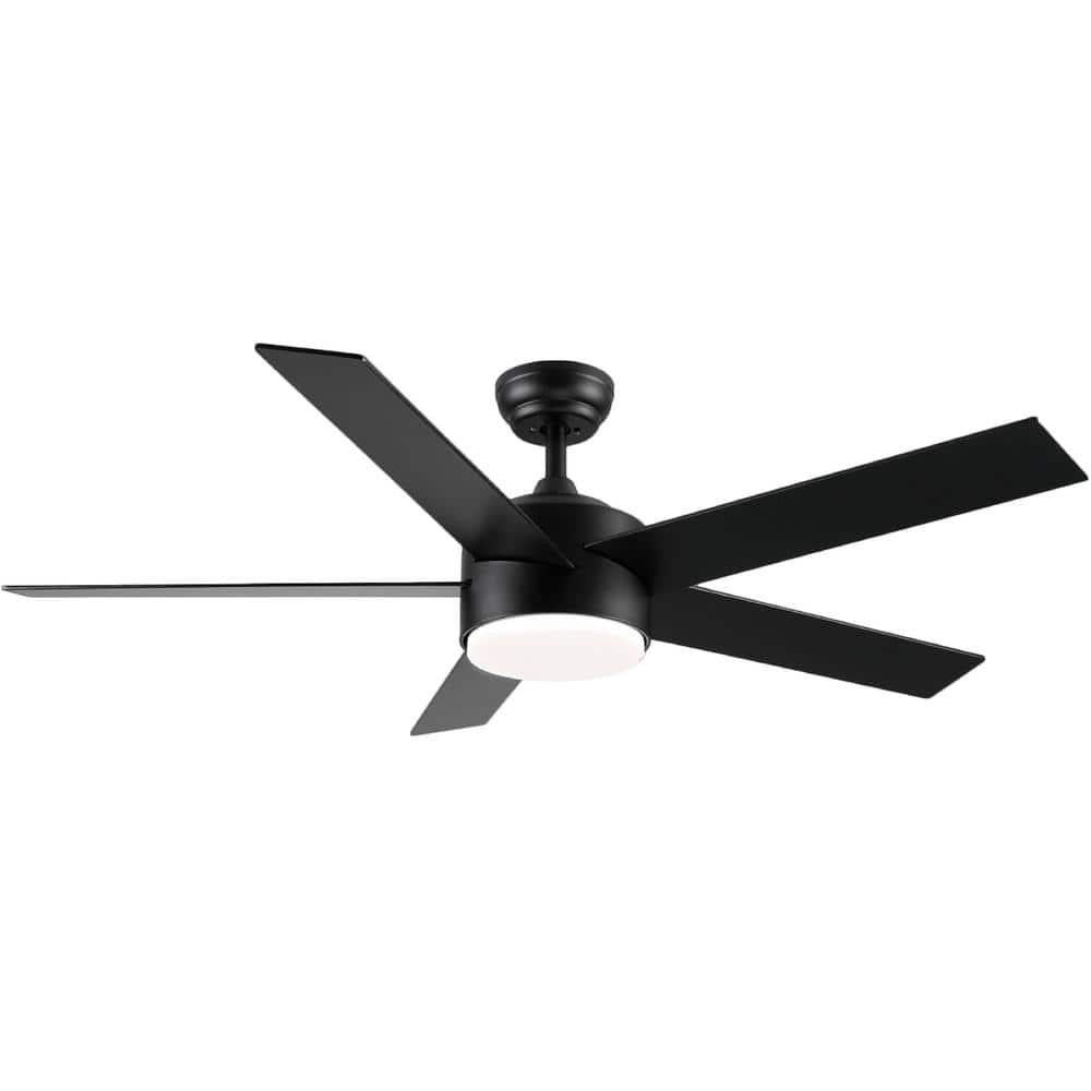 ホワイト　フ5 ワ5 ceiling-fans-with-lights-