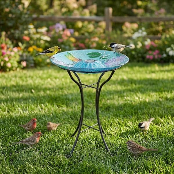 Teamson Home 18 in. Glass Dragonfly Outdoor Fusion Solar Birdbath