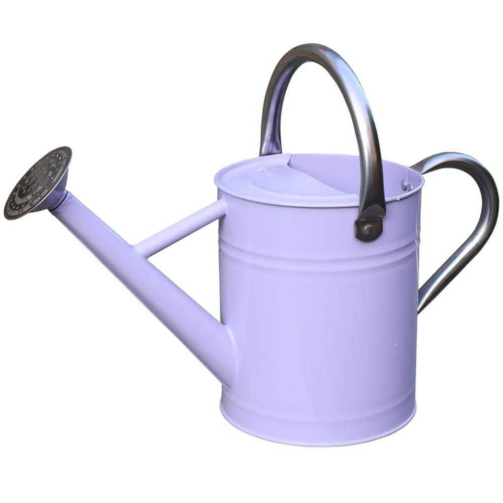 1 gal. Purple Metal Watering Can with Stainless Steel Handle for Outdoor Indoor Garden Plants Watering price history on PriceWatchPro