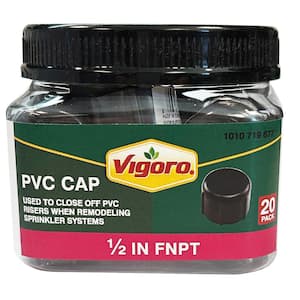 1/2 in. PVC 80 FPT Cap Fitting Jar (20-Pack)