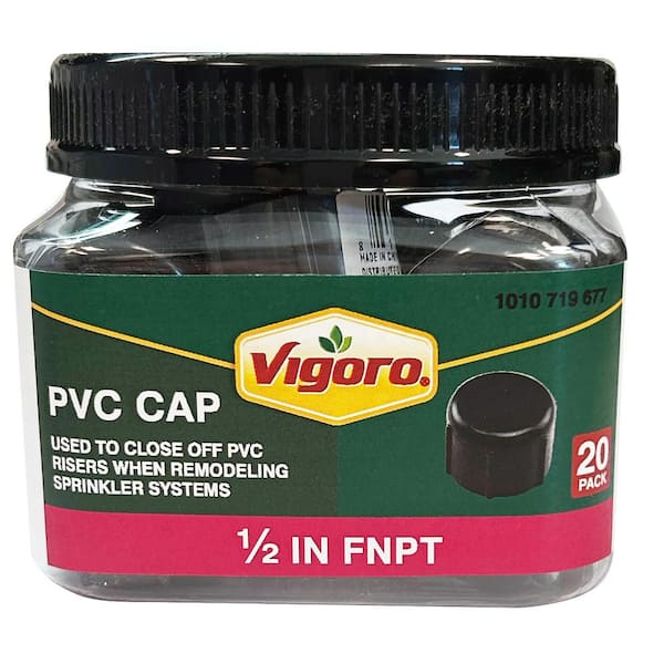 1/2 in. PVC 80 FNPT Cap Fitting Jar (20-Pack)