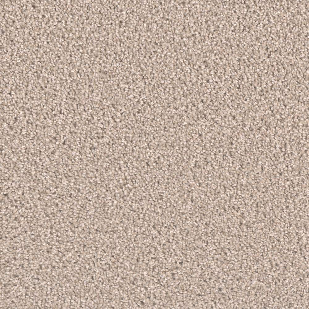 8 in. x  8 in. Texture Carpet Sample - Delicate Flower -Color Spotless price history on PriceWatchPro