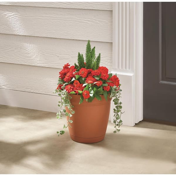 potted plant saucer Down Under Plant Saucer main image 1