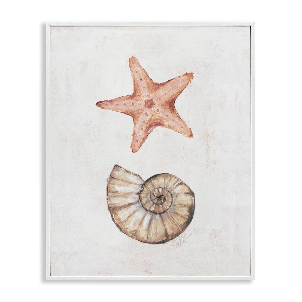 Subtle Sea Life by Filippo Ioco White Framed Coastal Giclee Art Print 30 in. x 24 in. price history on PriceWatchPro