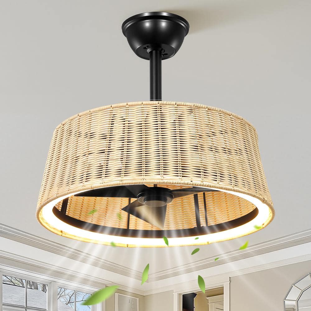 20 In. Black Bohemian-Style Caged LED Ceiling Fan Light with Remote Control — Suitable for Bedrooms and Living Rooms price history on PriceWatchPro