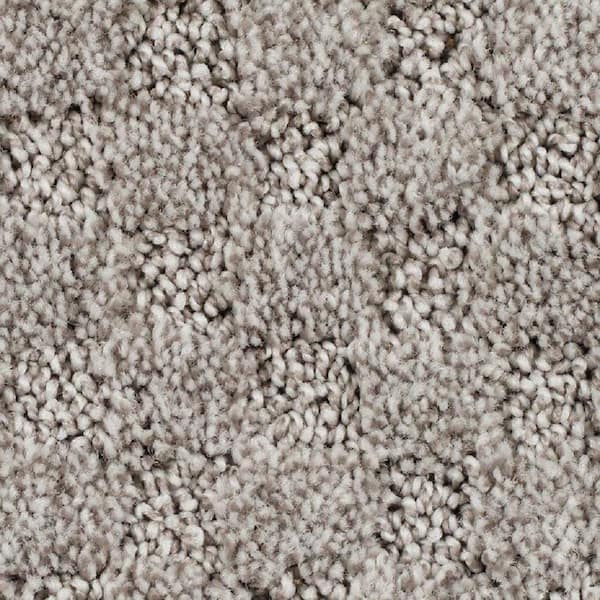 8 in. x 8 in. Pattern Carpet Sample - Shiloh Point -Color Bali