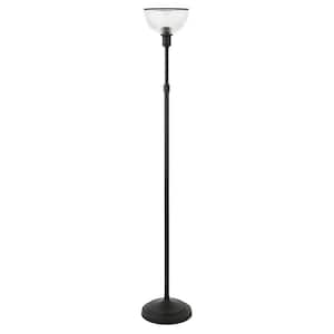 65 in. Black Novelty Standard Floor Lamp With Clear Transparent Glass Dome Shade