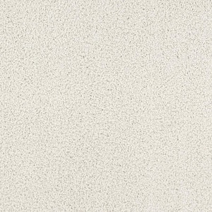 Around The World - Ivory - Beige 56.2 oz. Nylon Texture Installed Carpet