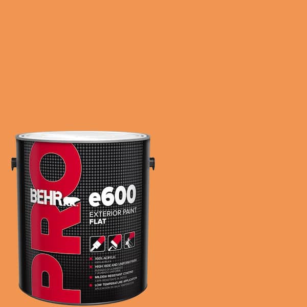 BEHR PRO 1 gal. #P230-6 Toucan Flat Exterior Paint