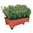 https://images.thdstatic.com/productImages/0a752a0e-9066-487f-bd11-9da002fbc187/svn/resin-emsco-plant-pots-3340-64_65.jpg