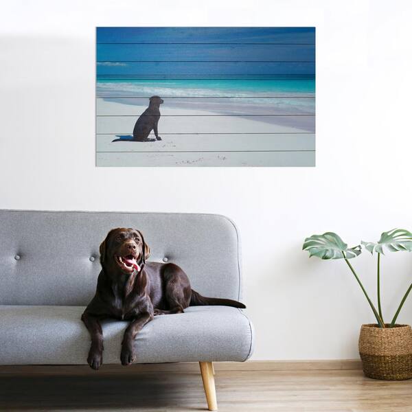 Bywater Bros. Editions | No Dogs on Beach