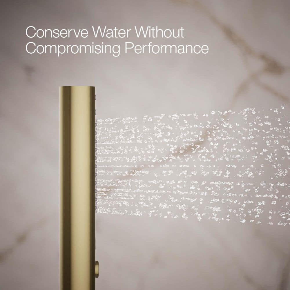Vibrant French Gold Two-Function Handheld Shower Head
