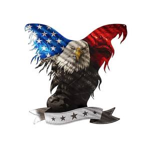 24 in. Patriotic American Eagle Metal Decorative Sign