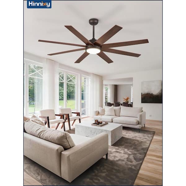 65 Inch Ceiling Fan With Lights, Farmhouse Caged Ceiling Fans