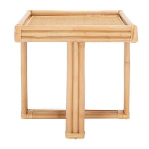 Juri 19.7 in. Beige Rectangle Jawit and Webbing End Table