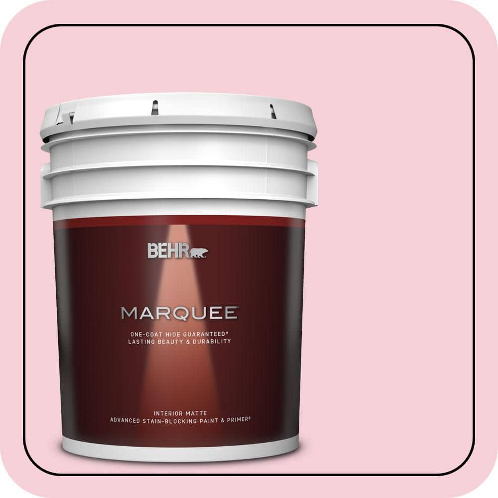 5 gal. #120C-1 April Blush Matte Interior Paint & Primer price history on PriceWatchPro