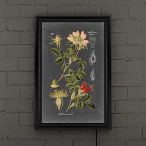 "Midnight Botanical I" by Vision Studio Framed with LED Light Floral Wall Art 24 in. x 16 in.