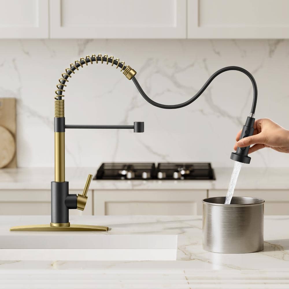 Black and Gold Stainless Steel High-Arc Kitchen Faucet with Pull-Out Spray