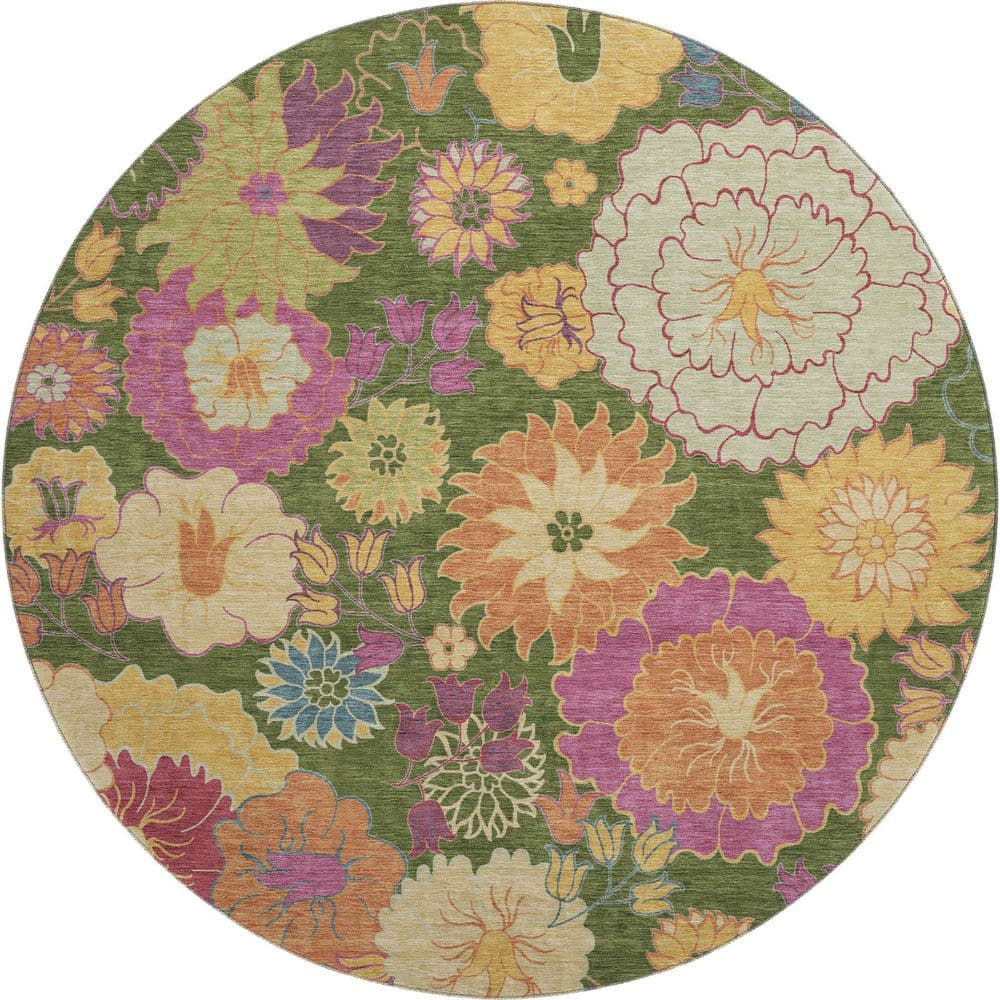 Mayfield Premium Machine Washable Abstract AMF2293 Aloe 8 ft. x 8 ft. Round Rug price history on PriceWatchPro