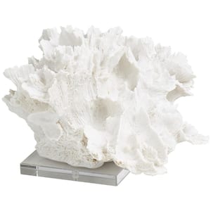 White Polystone Textured Coral Sculpture with Clear Acrylic Base