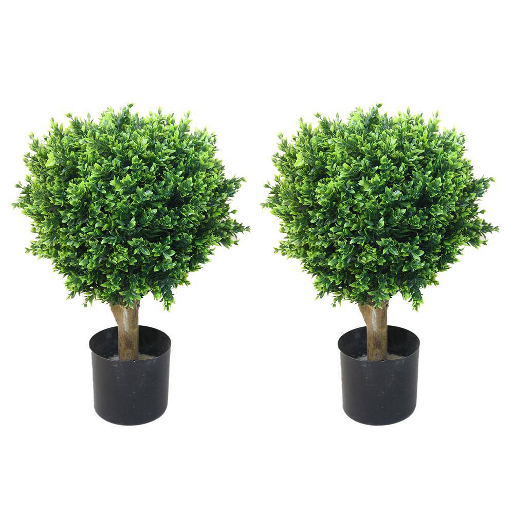 24" Romano Boxwood Sphere Topiary in Black Plastic Pot - Set of 2