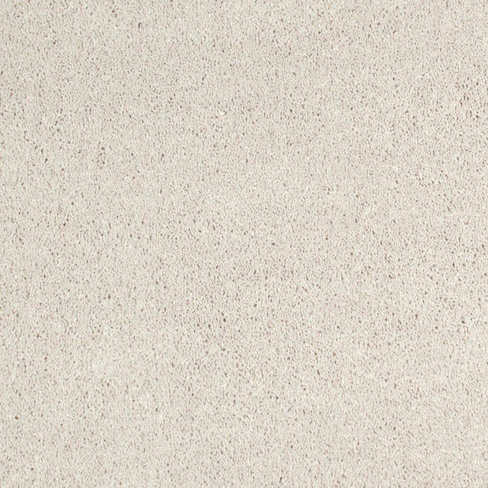 8 in. x 8 in. Texture Carpet Sample - Appreciate II - Color Chenille price history on PriceWatchPro