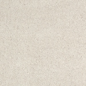 8 in. x 8 in. Texture Carpet Sample - Appreciate II - Color Chenille