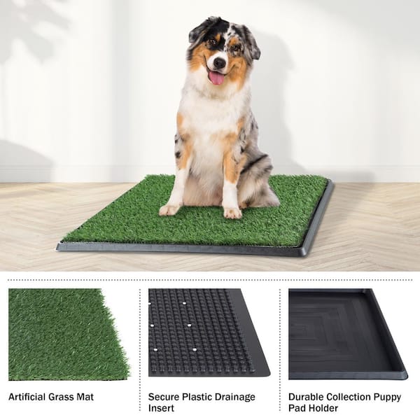 Plastic Tray for Indoor Dog Potty