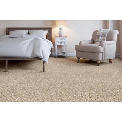 Beige Indoor Carpet Carpet The Home Depot