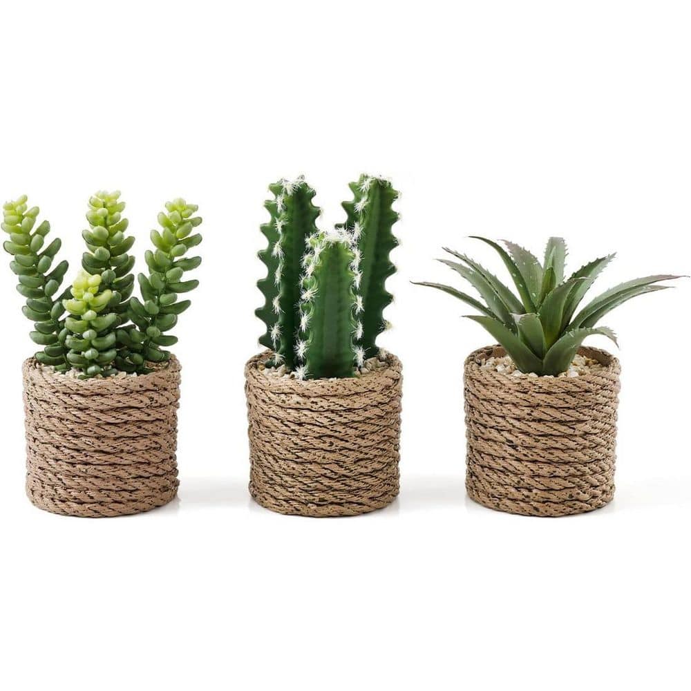 2.7 in 3-Pack Green Indoor Artificial Succulent Plants in Plastic