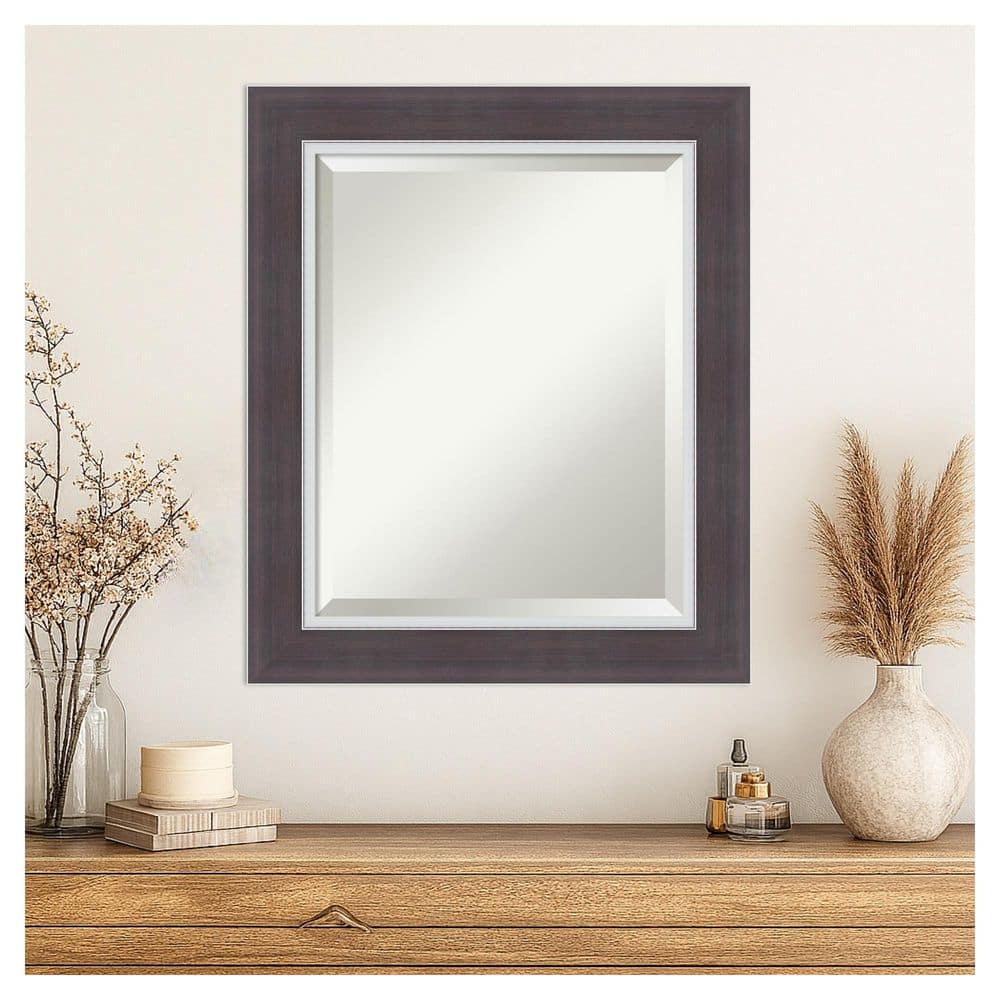 Ellie Brown Silver 21.5 in. x 25.5 in. Beveled Modern Rectangle Framed Wall Mirror price history on PriceWatchPro