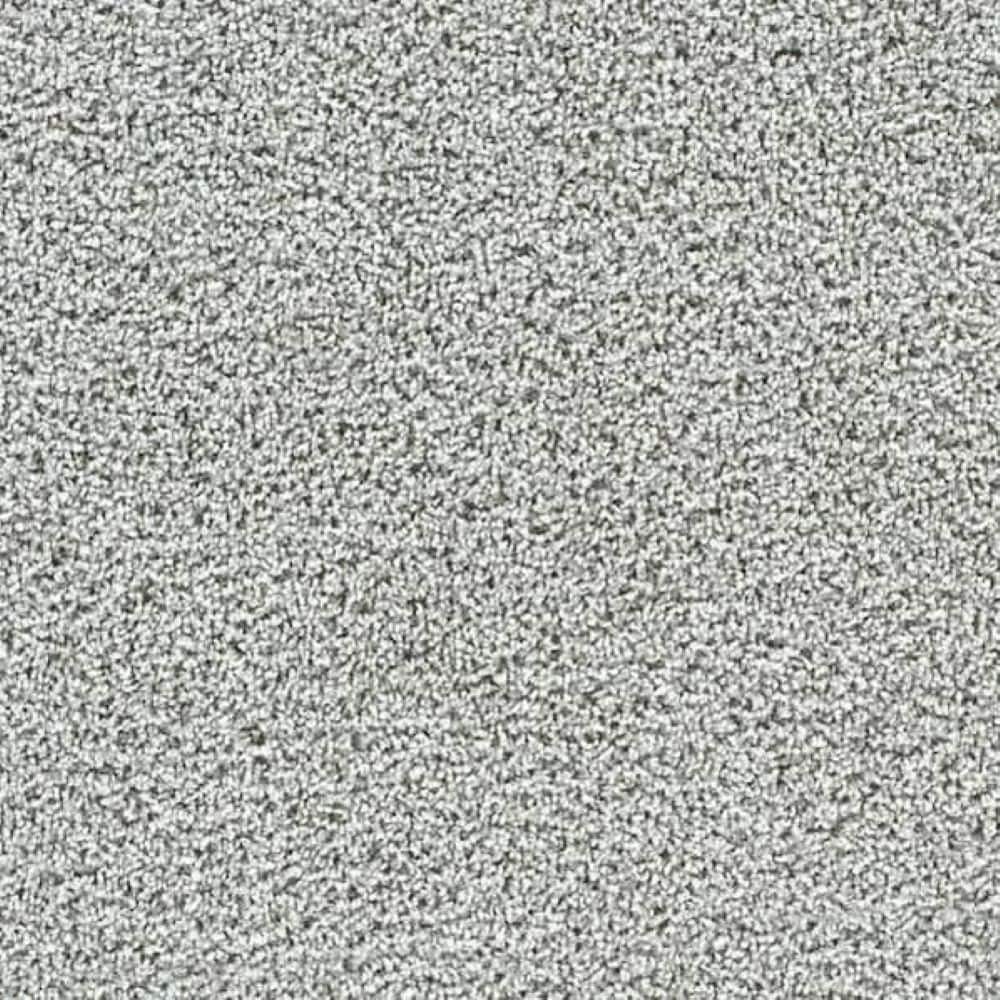 8 in. x 8 in. Texture Carpet Sample-Friendship Fables-Color Noble price history on PriceWatchPro