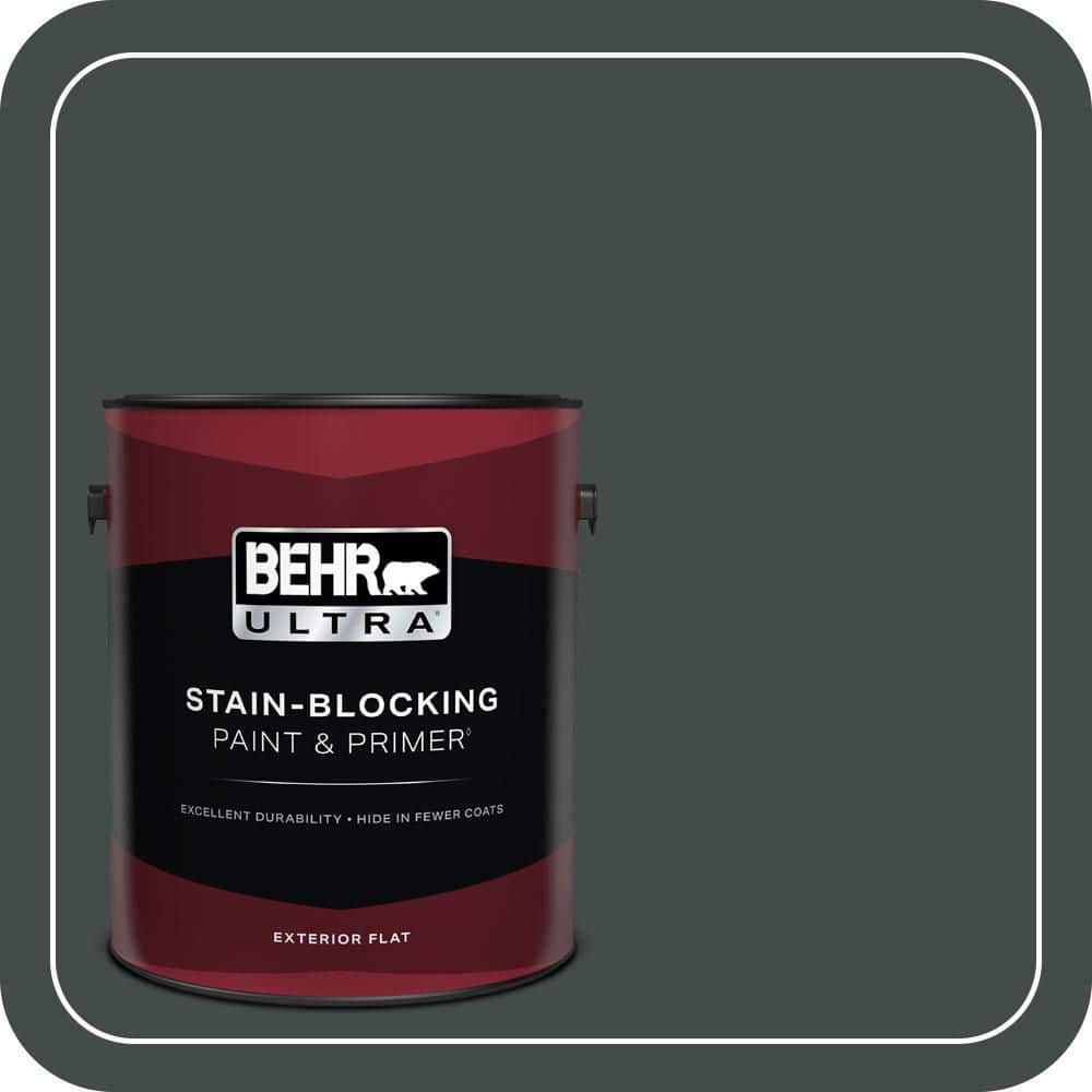 1 gal. Home Decorators Collection #HDC-CL-21 Sporting Green Flat Exterior Paint & Primer price history on PriceWatchPro