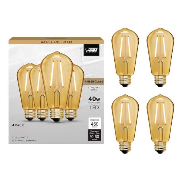 Feit Electric 25-Watt Equivalent ST19 Dimmable Straight Filament