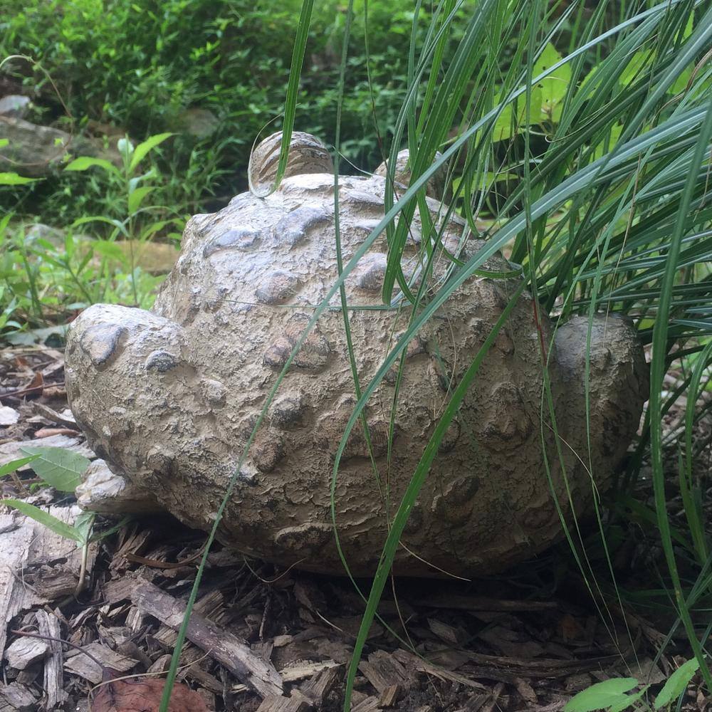 Natural Brown Large Classic Toad Garden Statue