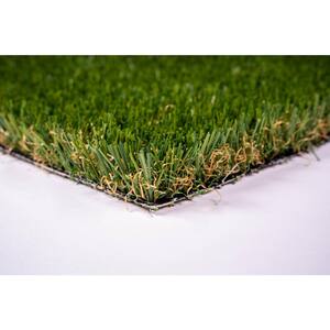 Premium Pet Turf 12 ft. Wide x Cut to Length Green Artificial Grass