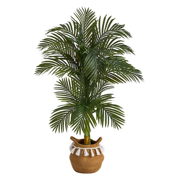 Nearly Natural 60 in. Green Artificial Double Stalk Cane Palm Tree in ...