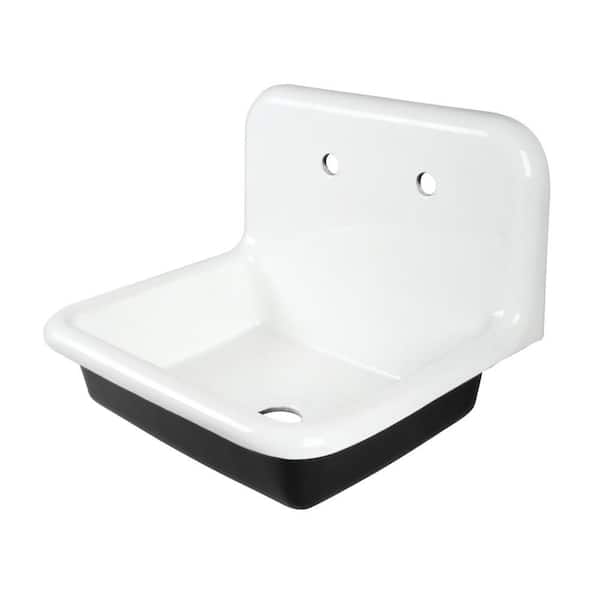 Petra Galley Cast Iron 24 in. Wall Mount Laundry/Utility Sink White in White