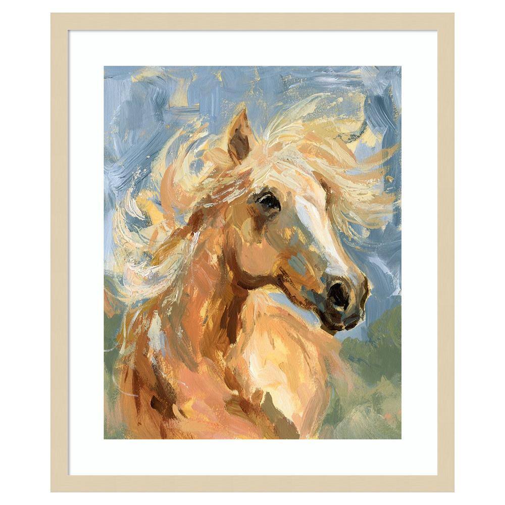 Palomino in the Wind I by Victoria Barnes 21 in. W x 25 in. H. Wood Framed Wall Art Print Framed in Brown price history on PriceWatchPro
