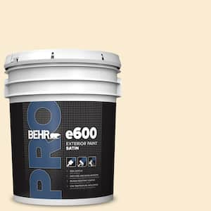 5 gal. #ICC-40 Antique Ivory Satin Exterior Paint